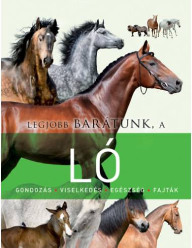 Legjobb barátunk, a ló