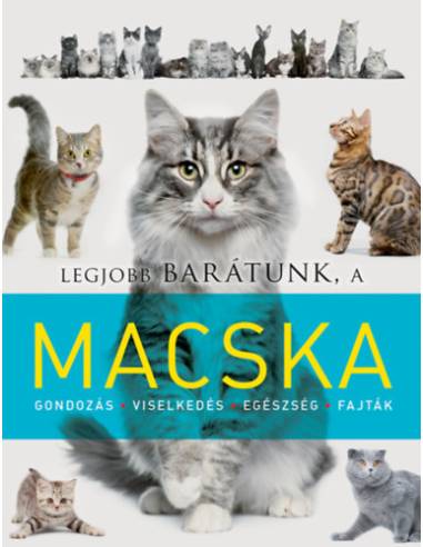 Legjobb barátunk, a macska