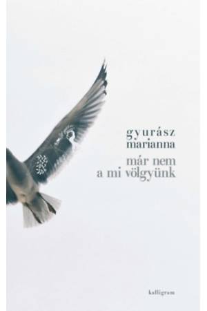 Már nem a mi völgyünk