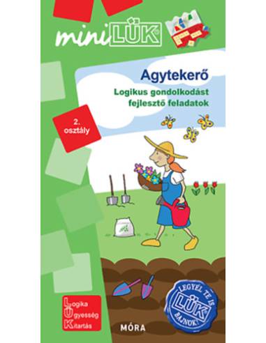 Agytekerő - LDI 578 - Logikai gondolkodást fejlesztő feladatok 2. osztály - MiniLÜK