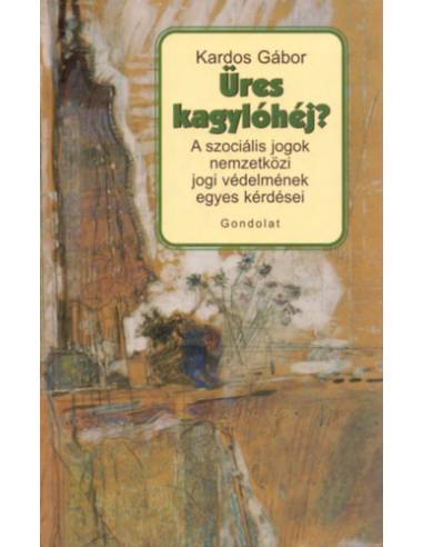 Üres kagylóhéj? - A szociális jogok nemzetközi jogi védelmének egyes kérdései