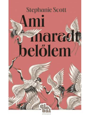 Ami maradt belőlem