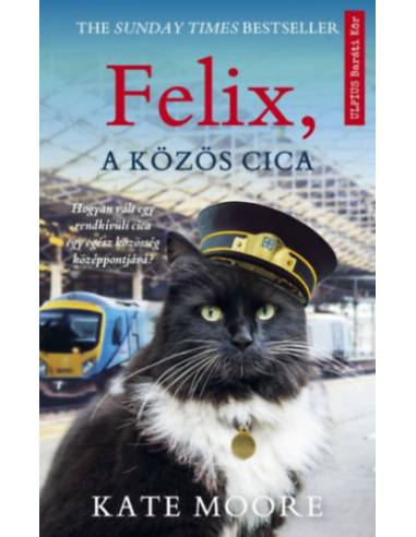 Felix, a közös cica