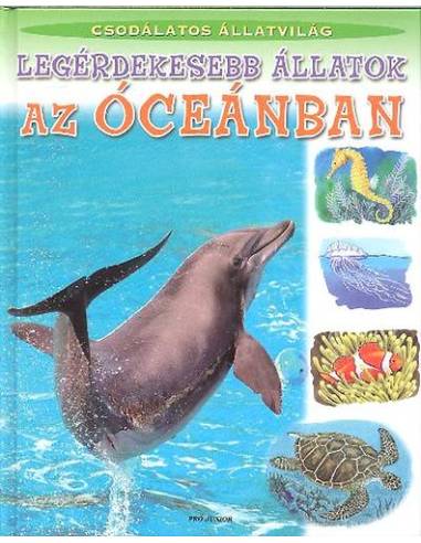 Legérdekesebb állatok az óceánban - Csodálatos állatvilág