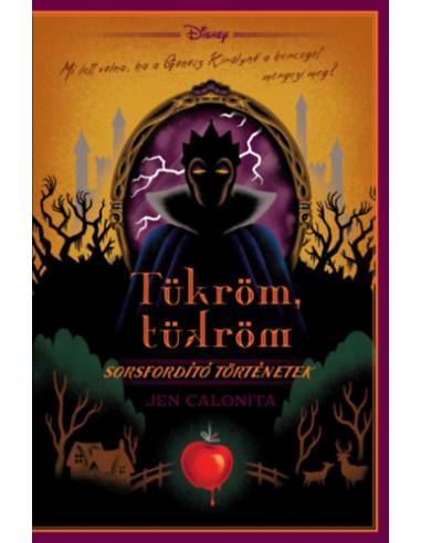 Disney - Tükröm, tükröm - Sorsfordító történetek - (Különleges kiadás)