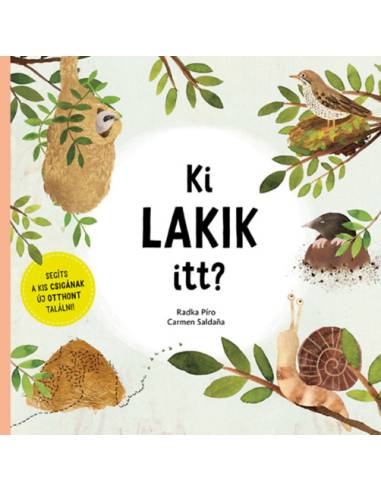 Ki lakik itt? - Segíts a kis csigának új otthont találni!