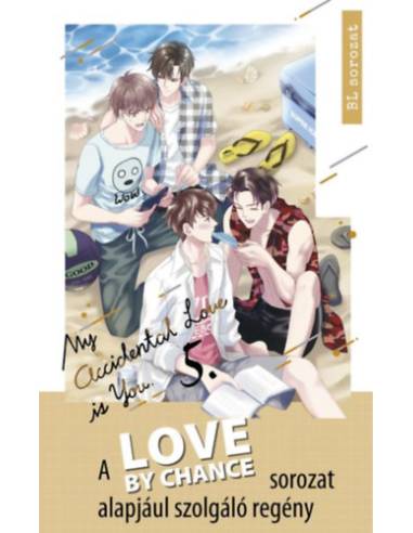 Love By Chance - My Accidental Love is You 5.