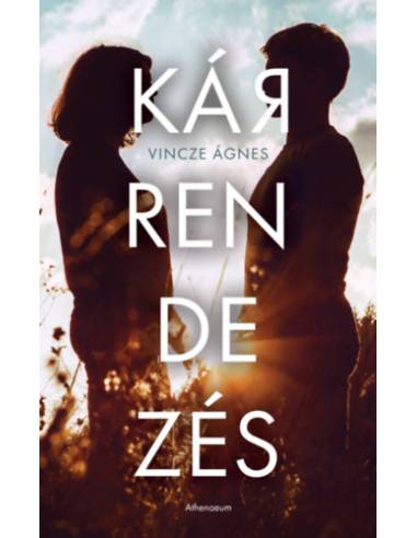 Kárrendezés