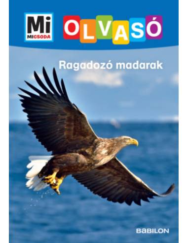Ragadozó madarak - Mi Micsoda Olvasó