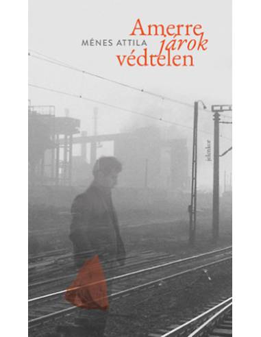 Amerre járok védtelen