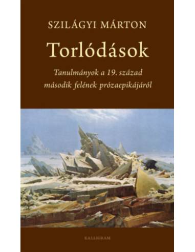 Torlódások - Tanulmányok a 19. század második felének prózaepikájáról