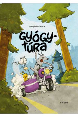 Gyógytúra