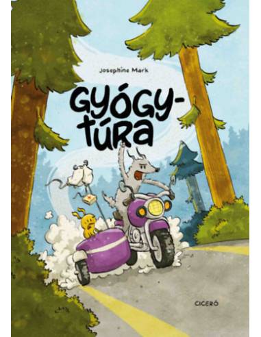 Gyógytúra