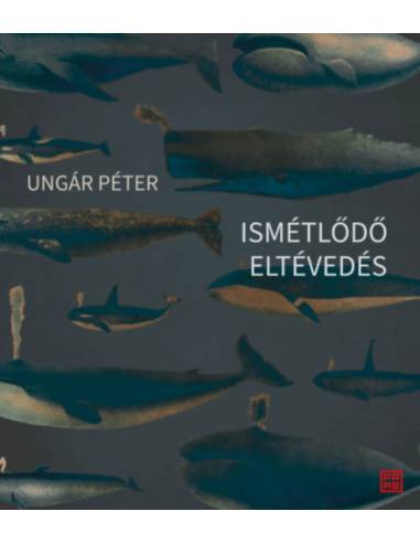 Ismétlődő eltévedés