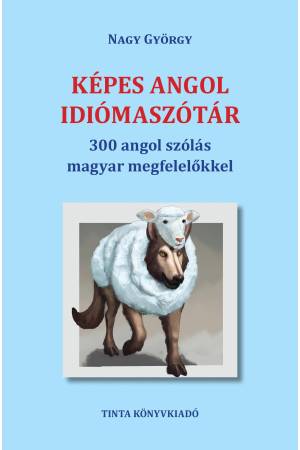 Képes angol idiómaszótár