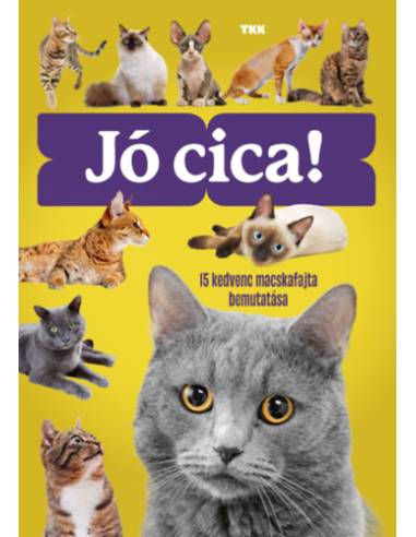 Jó cica!