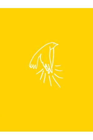 A madarak tapsolnak, amikor felszállnak - Szemlélődési példagyüjtemény