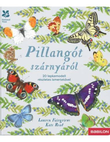 Pillangót szárnyáról - 20 lepkemodell részletes ismertetővel