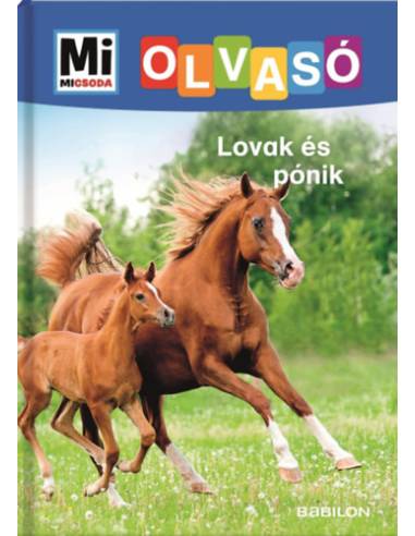 Lovak és pónik - Mi Micsoda Olvasó