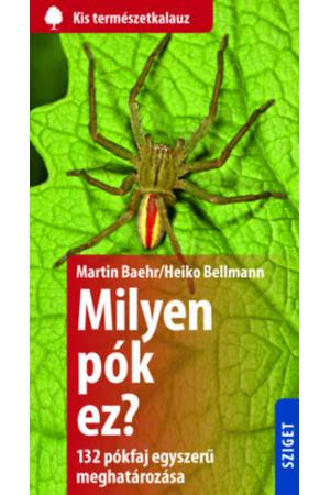 Milyen pók ez? - 132 pók egyszerű meghatározása