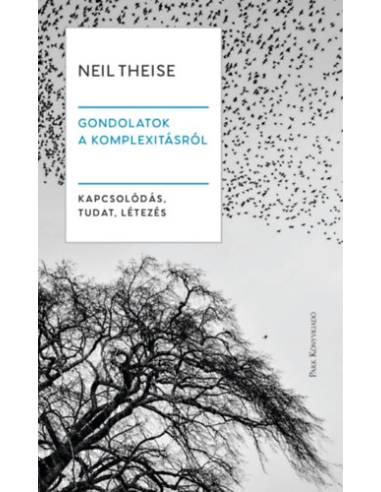 Gondolatok a komplexitásról - Kapcsolódás, tudat, létezés
