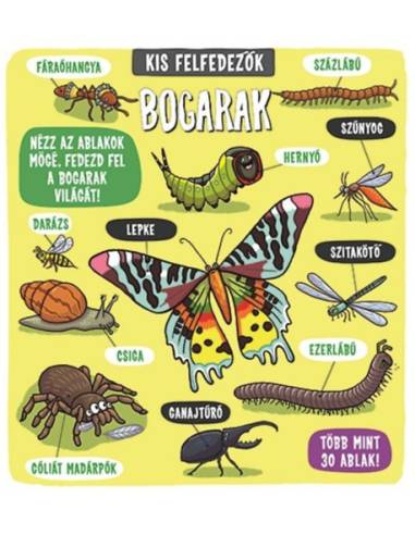Kis felfedezők - Bogarak