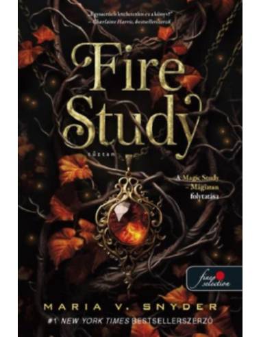 Fire Study - Tűztan - Study 3.