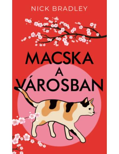 Macska a városban