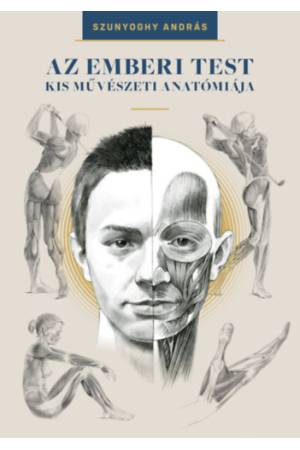 Az emberi test kis művészeti anatómiája