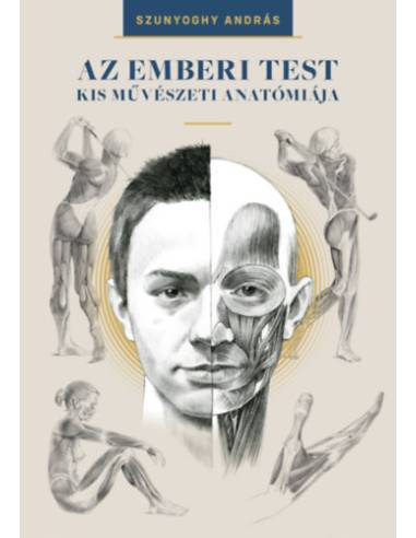 Az emberi test kis művészeti anatómiája