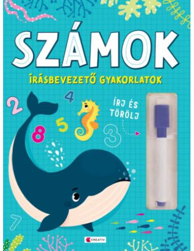 Számok - Írásbevezető gyakorlatok