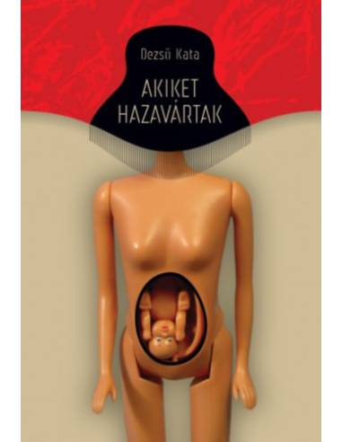 Akiket hazavártak