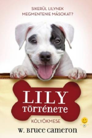 Lily története - Egy kutya négy élete