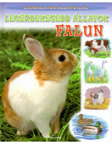 Legérdekesebb állatok falun - Csodálatos állatvilág