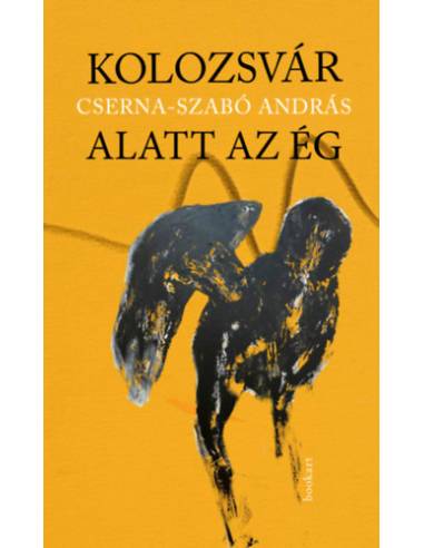 Kolozsvár alatt az ég