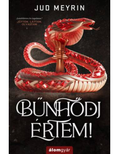 Bűnhődj értem!