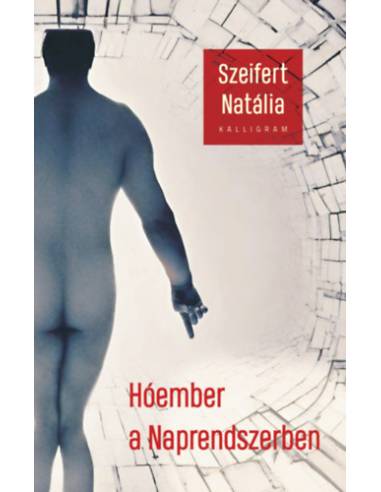 Hóember a Naprendszerben