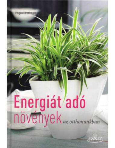 Energiát adó szobanövények