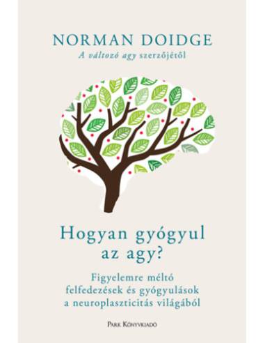 Hogyan gyógyul az agy? - Figyelemre méltó felfedezések és gyógyulások a neuroplaszticitás világából