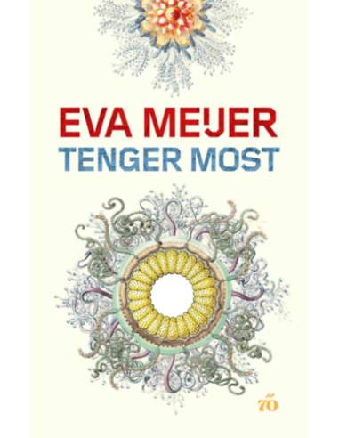 Tenger Most