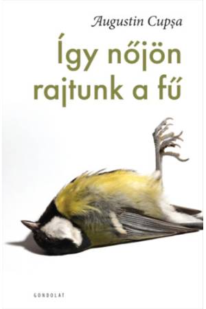 Így nőjön rajtunk a fű