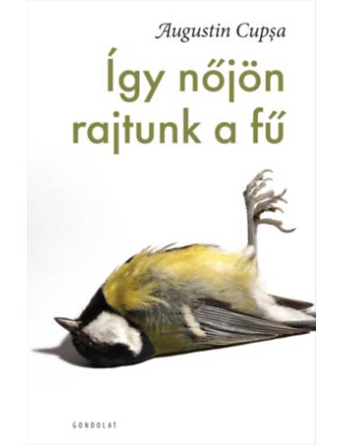 Így nőjön rajtunk a fű