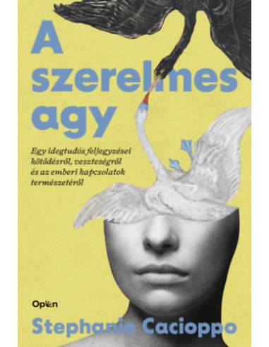A szerelmes agy