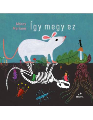 Így megy ez