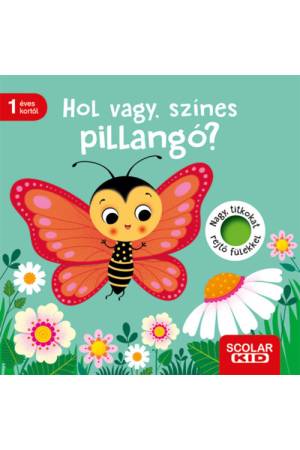 Hol vagy, színes pillangó?