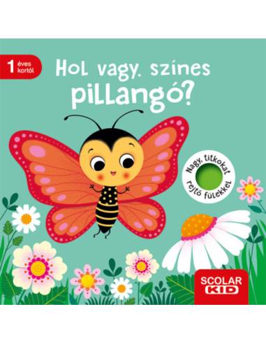 Hol vagy, színes pillangó?