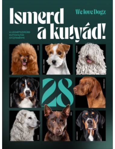 Ismerd a kutyád! - A legnépszerűbb kutyafajták gyűjteménye