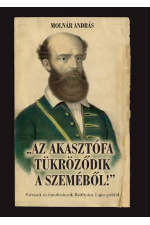 Az akasztófa tükröződik a szeméből! - Források és tanulmányok Batthyány Lajos grófról