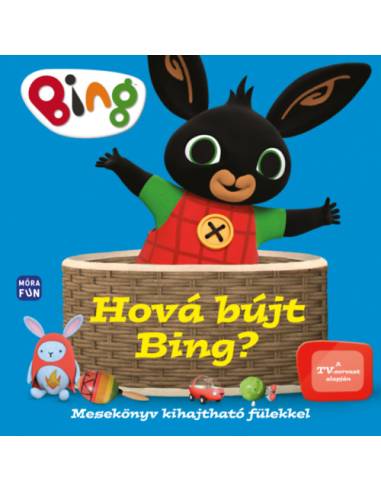 Hová bújt Bing? - Mesekönyv kihajtható fülekkel