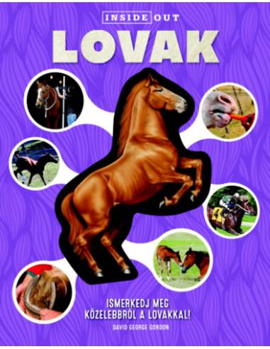 Lovak - Ismerkedj meg közelebbről a lovakkal!